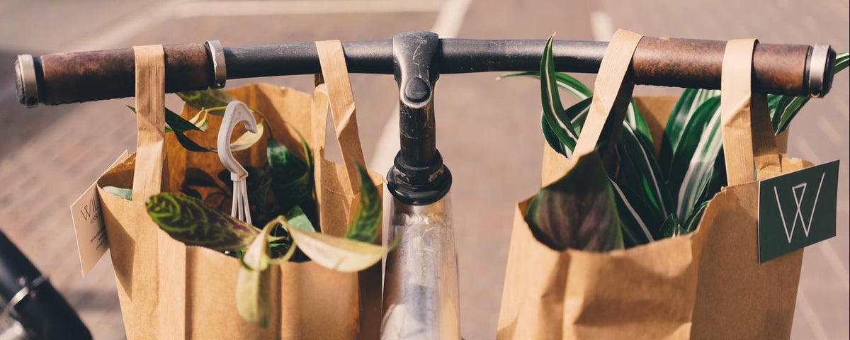 10 Reasons Why It’s Important to Shop Local