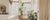 How to Create a Sustainable Home One Room at a Time